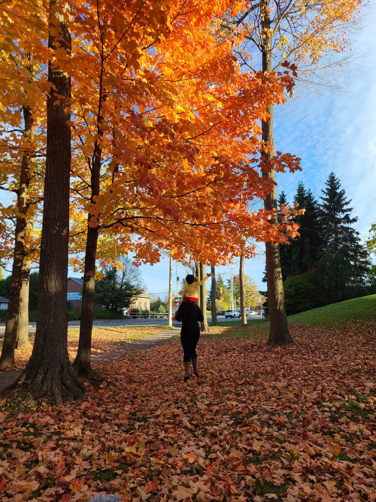 Fall trees, Nkechi Oruche and her daughter portrait
